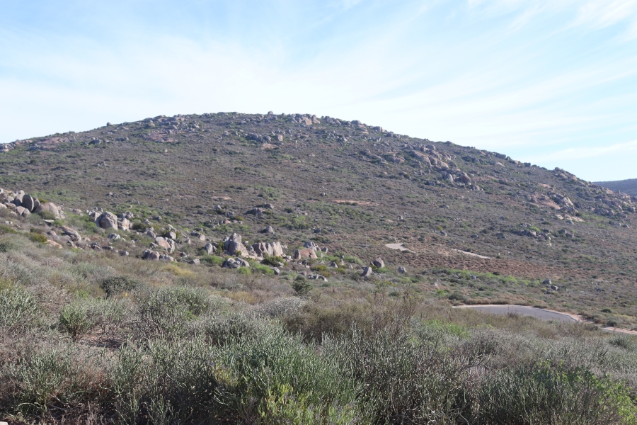 0 Bedroom Property for Sale in Steenbergs Cove Western Cape